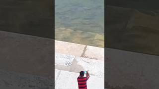 Fishing FAILS and FUNNY MOMENTS  Short [upl. by Eatnuahc575]