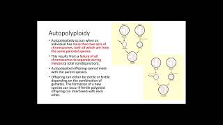 Polyploidy [upl. by Fredrick]