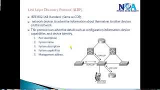 CCNA Routing amp SwitchingLLDP [upl. by Leveroni76]