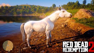 White Arabian Horse Location amp Taming Guide RDR2 [upl. by Nivk]