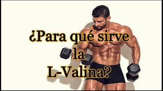 ¿Para qué sirve la L Valina [upl. by Ahtennek50]