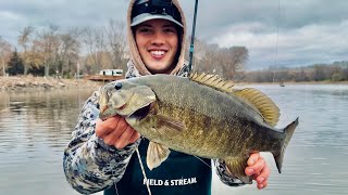 GIANT SMALLMOUTH BASS FISHING MISSISSIPPI RIVER [upl. by Knutson]