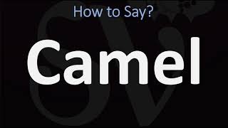 How to Pronounce Camel CORRECTLY [upl. by Nwhas]