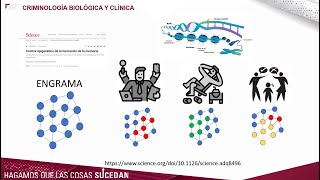 TEORIAS DE LA MEMORIA POTENCIACIÓN A LARGO PLAZO Y ENGRAMAS SU PAPEL EN LAS FALSAS MEMORIAS [upl. by Inele348]