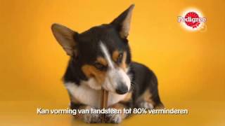 PEDIGREE DentaStix commercial [upl. by Arlin752]