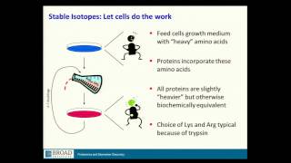 BroadE Quantitative methods in proteomics [upl. by Adnilre]