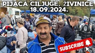 PIJACA CILJUGE ŽIVINICE NEMOGUĆE PROĆI KROZ MASU NARODA KILOMETARSKE KOLONE VOZILA 18092024 [upl. by Anya]