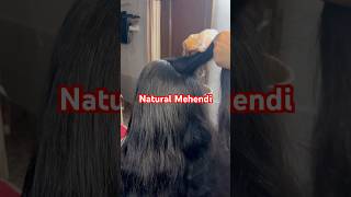 World’s Best Heena Hair Mask For Permanent black hair’ Silky amp Shiny Hair shorts [upl. by Nomahs320]