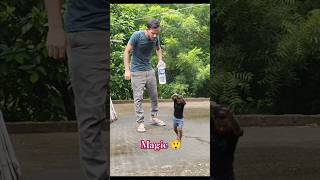 magic shorts tricks 🧚😲shortstrending magicedittricks [upl. by Eirrahs865]