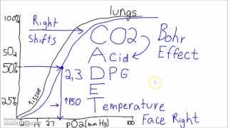 Physiology  The Oxygen–Hemoglobin Dissociation Curve [upl. by Enelegna625]