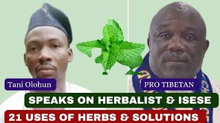 Just In How Herbalist Solve Problem  Prophet Tibetan Revealed Secrets About CCC  Isẹse [upl. by Nylcaj]