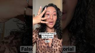 Falscara lash application tutorial for beginners with tips amp tricks falscara lashextensions lash [upl. by Ellord]