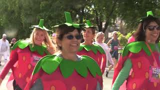 Bay to Breakers 2022  IV San Francisco Hayes st  IV 5 15 2022 [upl. by Bernard489]