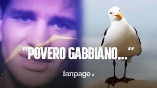 quotPovero gabbiano hai perduto la compagnaquot da dove viene l’audio diventato virale su TikTok [upl. by Akimrehs518]