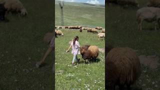 Part 10 Mount Aragats shorts shortsfeed [upl. by Niwrehs]