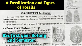 What is Fossilization  Types of Fossil in hindi  BSc first year Botany Second Semester [upl. by Amahs]