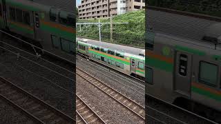 【４K映像】湘南新宿ライン 上り電車 ShonanShinjuku Line inbound train [upl. by Archle]