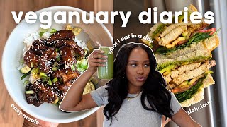 veganuary diaries ep 1 what I eat in a day  easy vegan recipes for beginners [upl. by Mashe333]