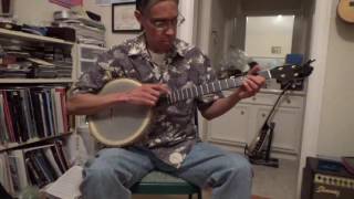 Pisgah Rambler Dobson Banjo Review [upl. by Neeham]