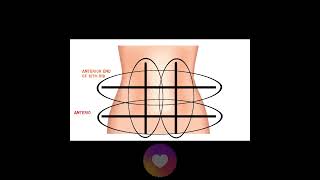 9 Regions of the abdomen and their organs  Topography of anterior abdominal wall  Abdomen anatomy [upl. by Aroon]