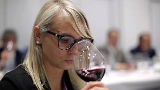 World Bulk Wine Exhibition 2016 [upl. by Dunseath229]