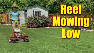 Gas Reel Mowers  Reel Mowing Low Grass [upl. by Nnaecarg963]