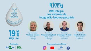 Leite nas Redes  BRS Integra nos sistemas de integração lavourapecuária [upl. by Iaht782]