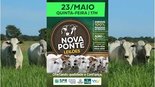 NOVA PONTE LEILÕES AO VIVO  NOVA PONTE MG [upl. by Enenaej554]