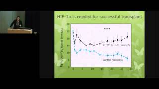 Islet Transplantation  A New Treatment for Type 1 Diabetes [upl. by Winson]