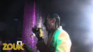 Snoop Dogg Drop it like its hot LIVE [upl. by Crowley]