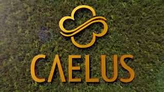 CAELUS BSD CITY SINARMASLAND [upl. by Alhak]