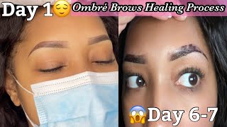 Ombre Brows Healing Process [upl. by Wall799]