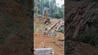 bukalapak kebunsawit excavator kalimantan [upl. by Wordoow]