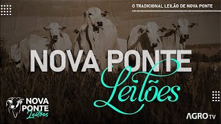 NOVA PONTE LEILÕES AO VIVO  NOVA PONTE MG [upl. by Ahsatin693]