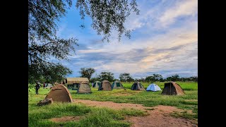 Camping in Serengeti National Park [upl. by Giacamo]