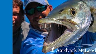 Providence Atoll Seychelles  Fly Fishing Adventure 2018 [upl. by Edmonda]