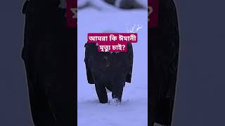 উত্তম মৃত্যু দিন এবং খাঁটি তওবা নসিব করুন🤲 islamicstatus death eman allah grave shorts islam [upl. by Sairacaz]