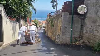 Madeira FUNCHAL TOBOGGAN RIDE in Monte MADEIRA [upl. by Postman]