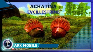 ACHATİNA EVCİLLEŞTİRMEARK MOBILE BÖLÜM 42 [upl. by Breanne]