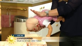 Expert visar Så gör du om ett barn sätter i halsen  Nyhetsmorgon TV4 [upl. by Barabas]