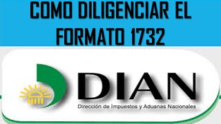 Como Declarar Renta en el Formato 1732 DIAN Colombia Video 2 [upl. by Airenahs]