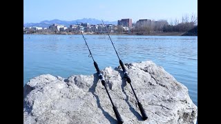 TRX Rampage Jigging Rod BlueWingFishing SaltwaterFishing [upl. by Judye572]