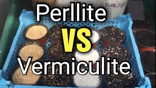 Perlite vs Vermiculite Whats the difference amp which to choose [upl. by Yorel]