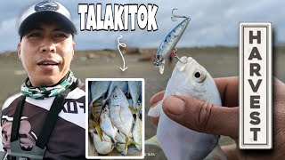 70vlogBlessed day❤️ Unli strike talakitok fish using sabiki mga master 🤘🎣 Harvest  🫠 [upl. by Herby710]