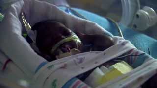 Preemies Fare Well in SWFL [upl. by Rramed]