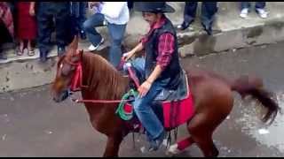 desfile de caballos feria de Cajolá [upl. by Annawyt]