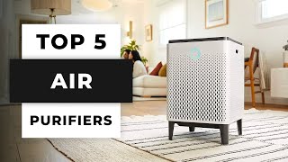 TOP 5 Best Air Purifiers 2024 [upl. by Naibaf907]