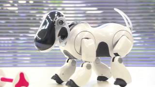 ROBO TOYS  SONY AIBO ERS7 WHITE EDITION [upl. by Nuriel]