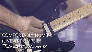 David Gilmour  Comfortably Numb Live At Pompeii [upl. by Ssyla]