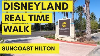 Suncoast Hilton Anaheim Disneyland Good Neighbor Hotel  Real Time Walk to Disneyland [upl. by Adnylam]